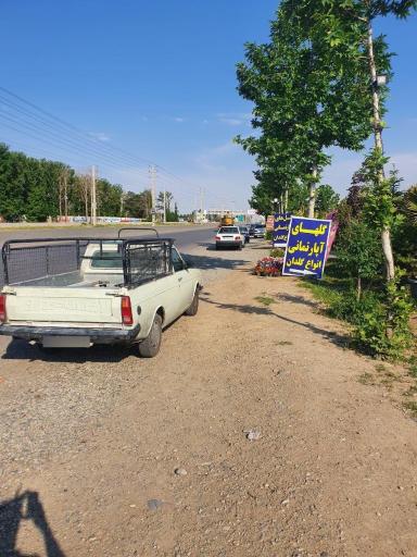 عکس نهالستان و گلخانه برادران فتاحى