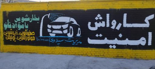 عکس کارواش نانو بخار امنیت