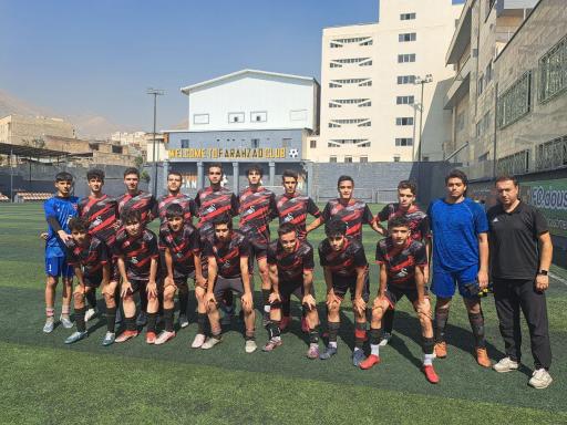 عکس چمن مصنوعی فرحزاد