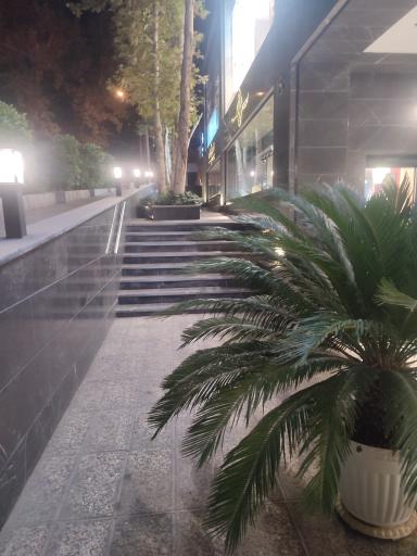 عکس شرکت کی کاو آلتین