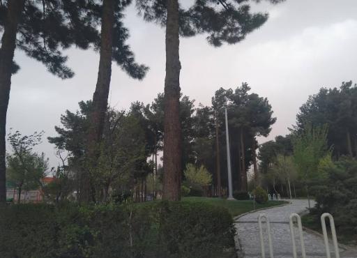 عکس بوستان هاشمی نژاد