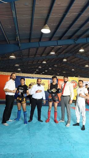 عکس کیک بوکسینگ تارشی 