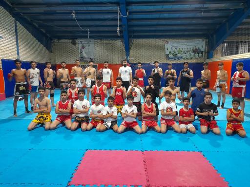 عکس کیک بوکسینگ تارشی 