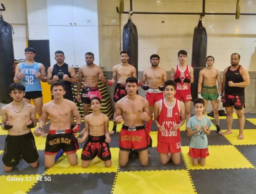 عکس کیک بوکسینگ تارشی 