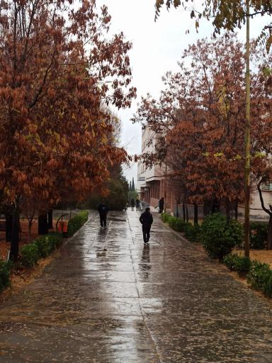 عکس کلاسهای مشترک