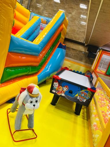 عکس خانه بازی سانی لند