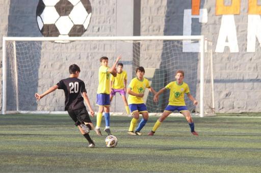 عکس چمن مصنوعی فرحزاد