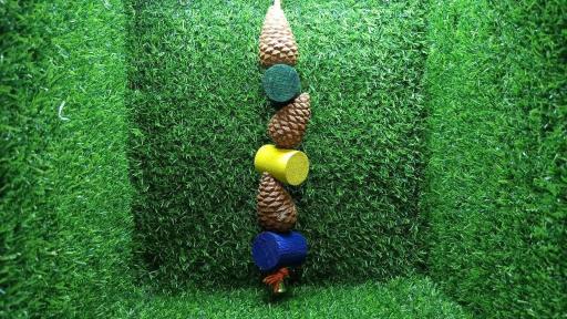 عکس پت شاپ طوطیا