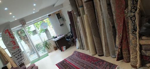 عکس قالیشویی ایده آل 2