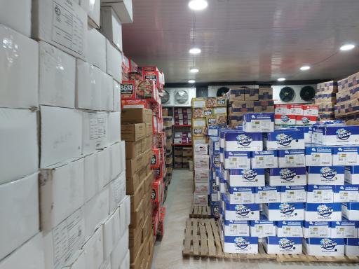 عکس پروتئین امیر