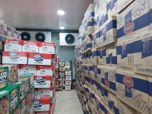 عکس پروتئین امیر