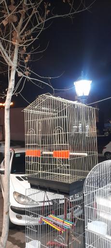 عکس پت شاپ طوطیا