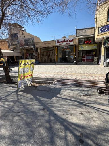 عکس پخش تخم مرغ سيمرغ 