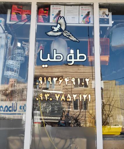 عکس پت شاپ طوطیا