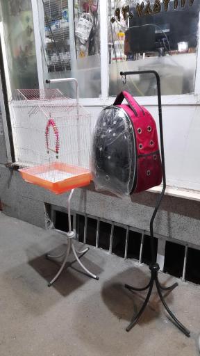 عکس پت شاپ طوطیا