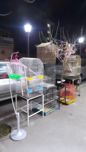 پت شاپ طوطیا