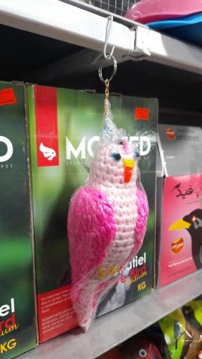 عکس پت شاپ طوطیا