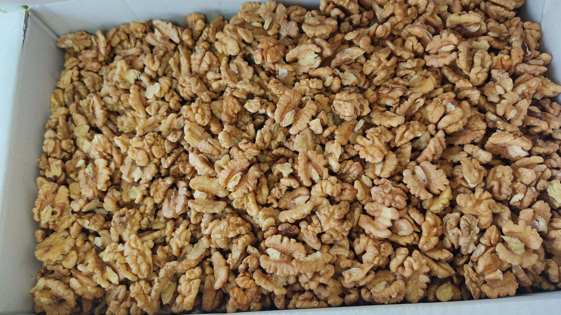 عکس خشکبار مصطفی 