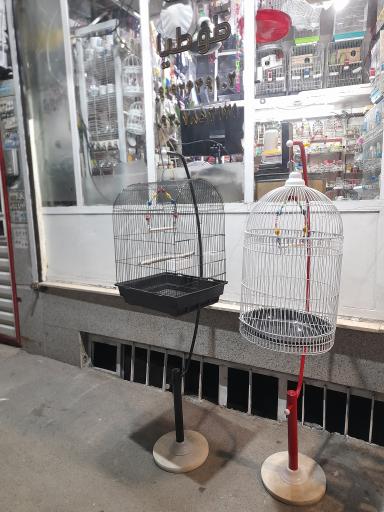 پت شاپ طوطیا