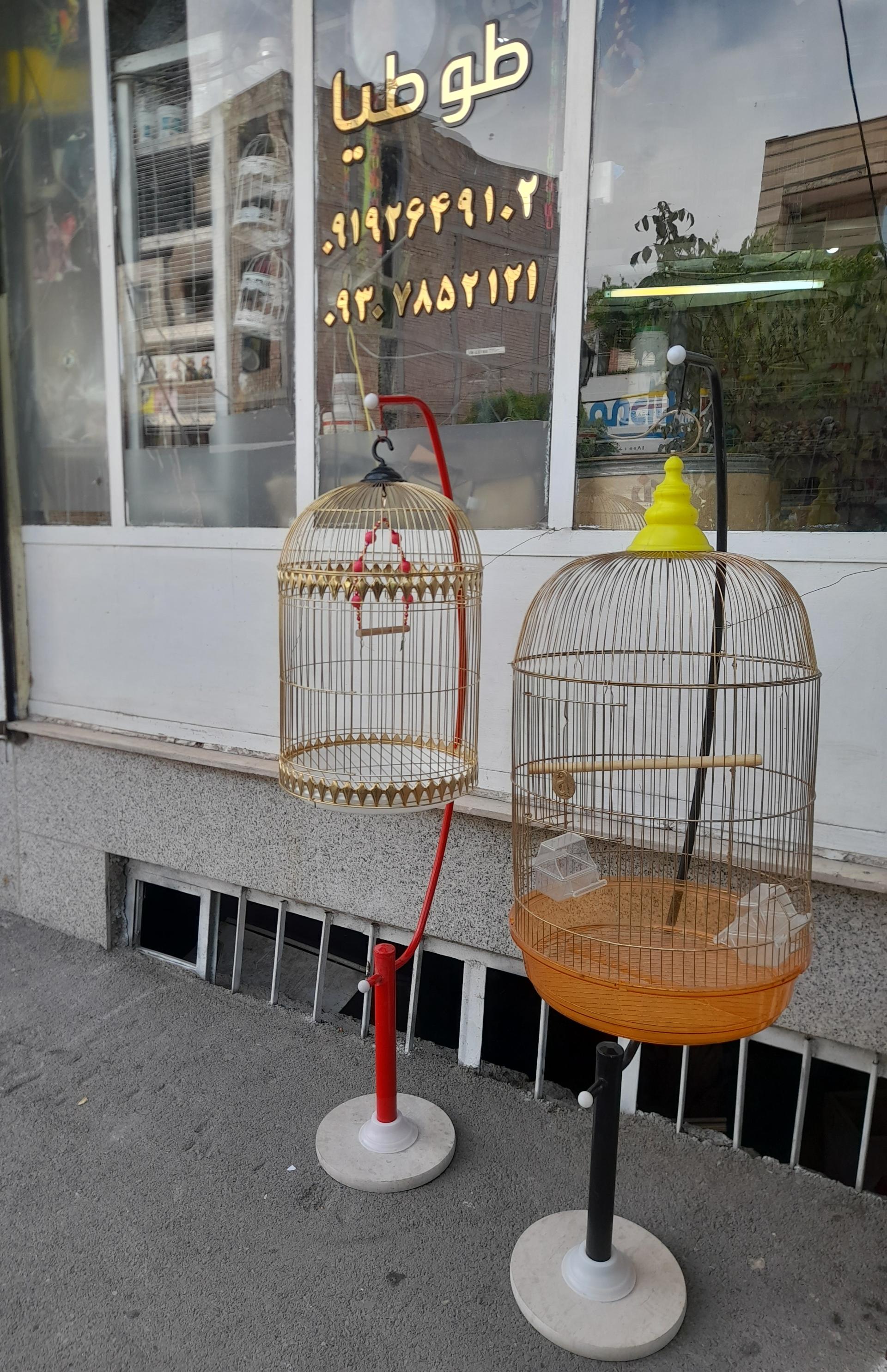 عکس پت شاپ طوطیا