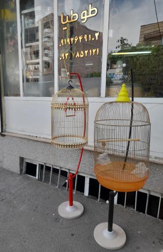 عکس پت شاپ طوطیا