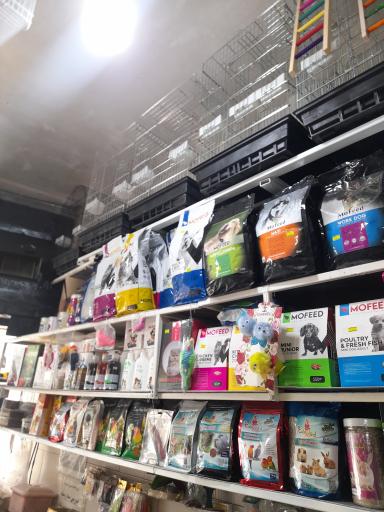 پت شاپ طوطیا