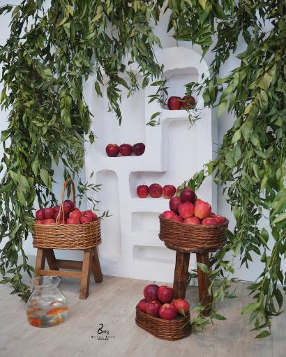 عکس آتلیه عکس برگ