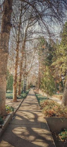 عکس پارک ملت اسفراین