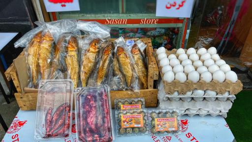 عکس مرغ و ماهی ساسان