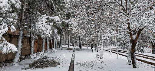 عکس پارک ملت اسفراین