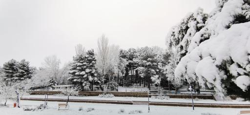 عکس پارک ملت اسفراین