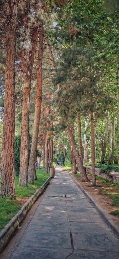 عکس پارک ملت اسفراین