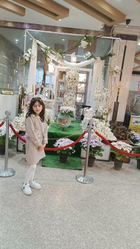 مرکز خرید شهرآرا