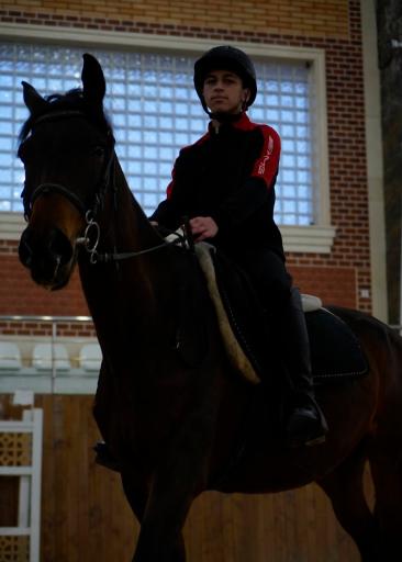 عکس باشگاه سوارکاری محک 