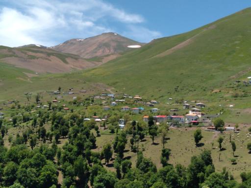 عکس پونل