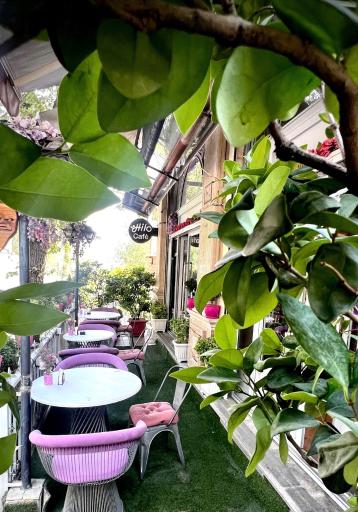 عکس کافه هیلو