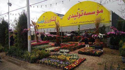 عکس گلسرای متین(فرهاد)
