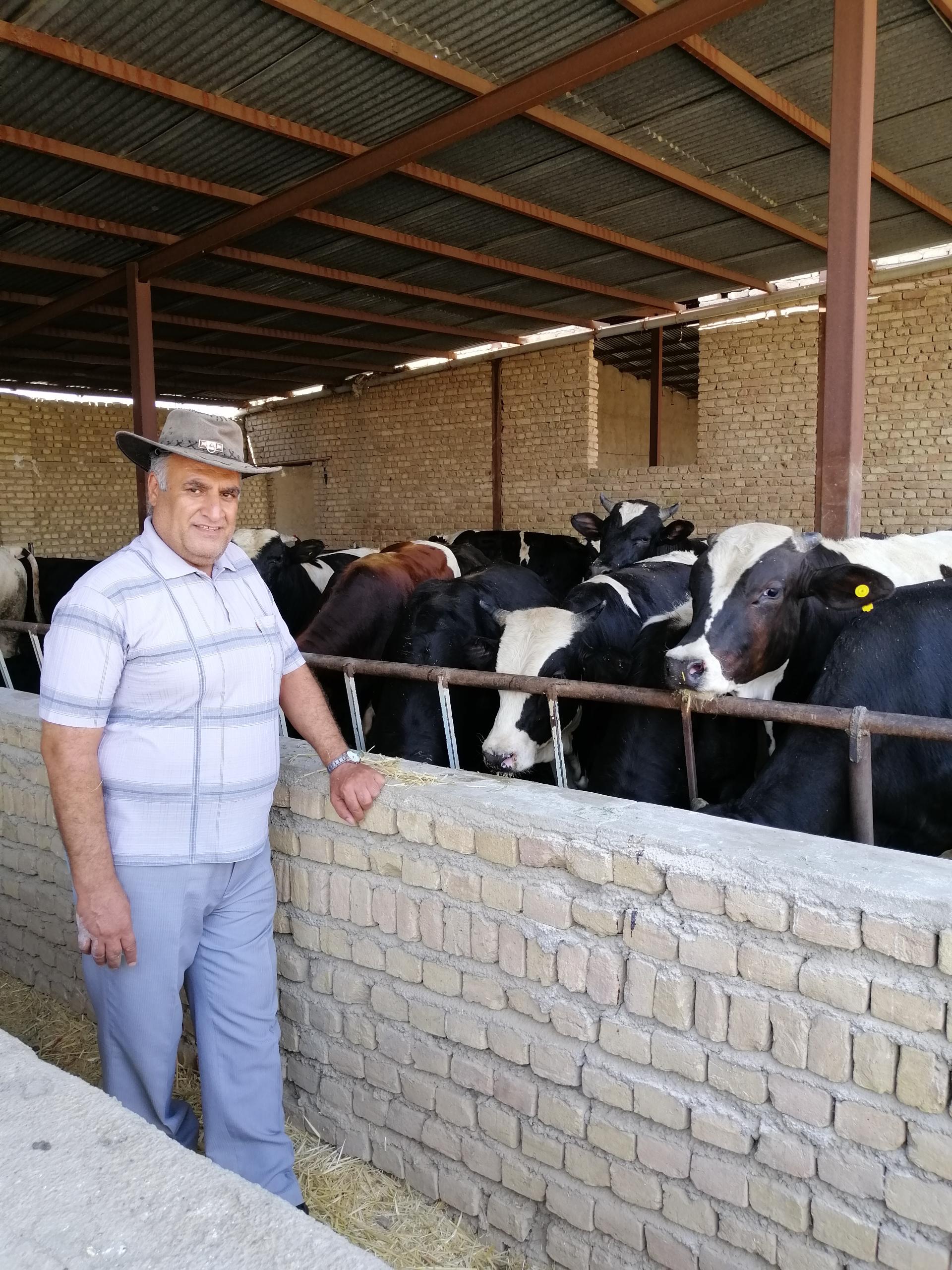 عکس دام سنگین قائم مقام