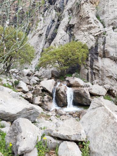 عکس چالابه 