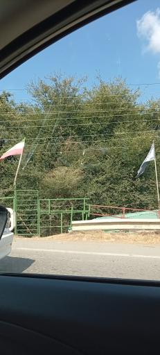 عکس پونل