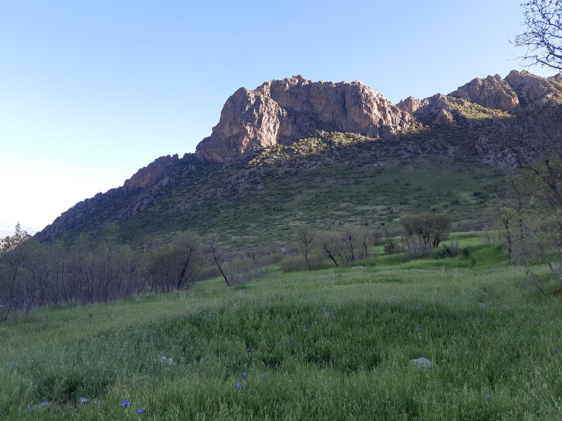عکس چالابه 