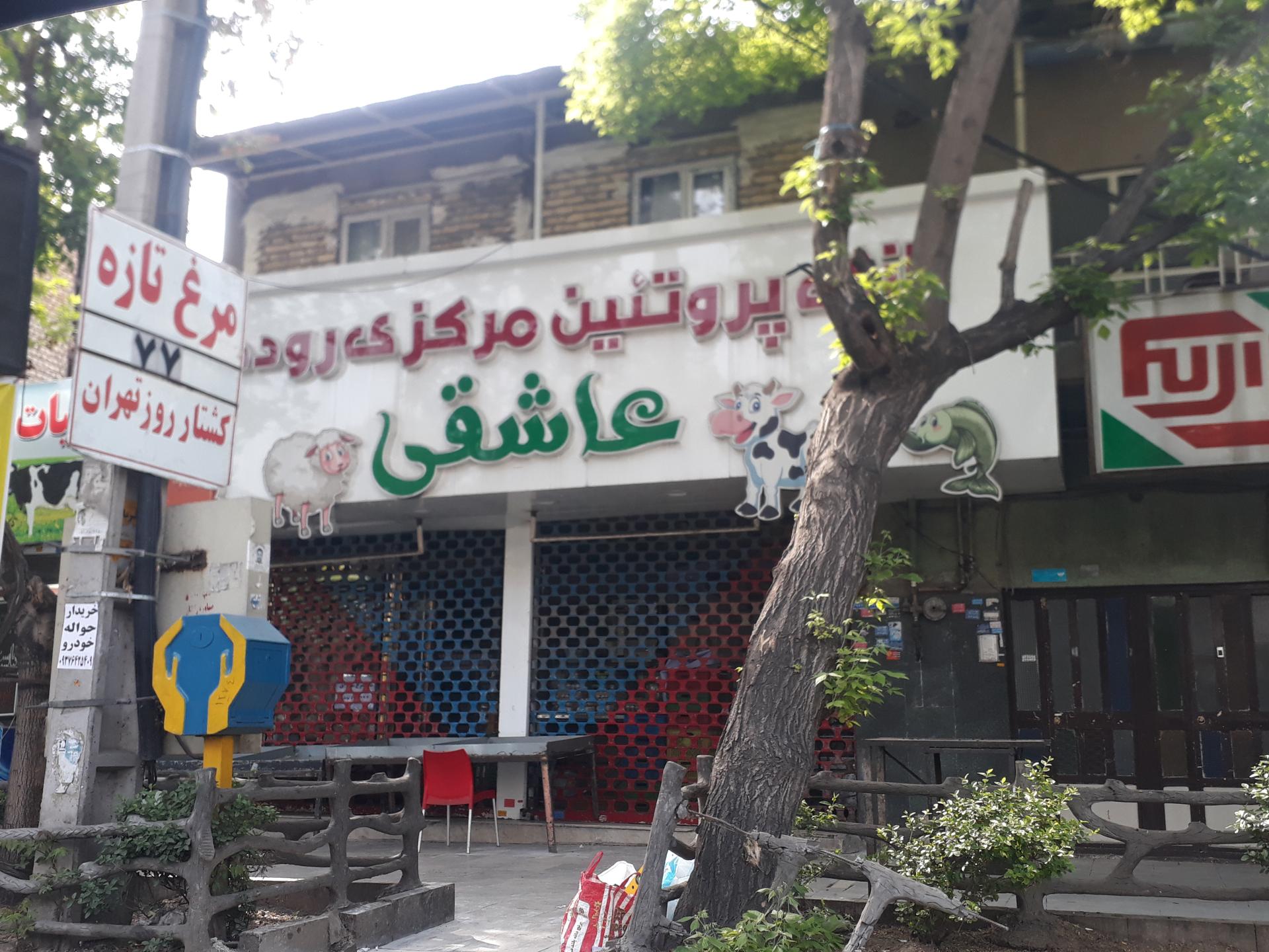 عکس پروتئین عاشقی