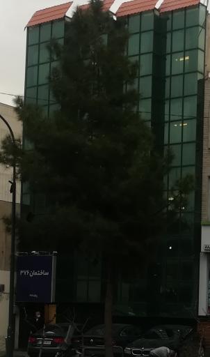 عکس ساختمان 367
