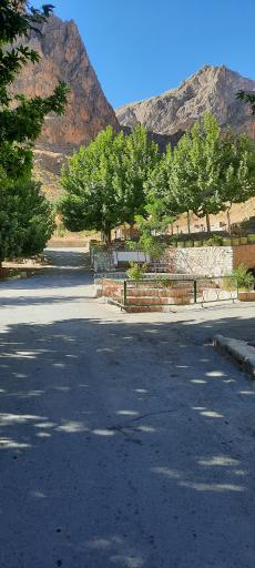 عکس پارک معلم