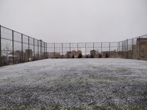 عکس چمن مصنوعی 