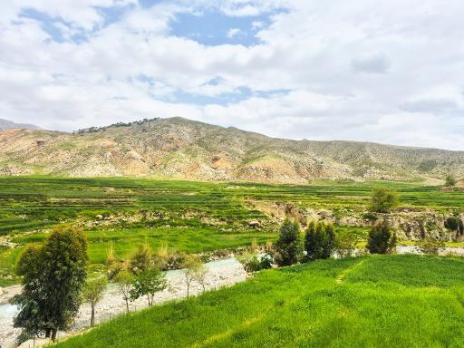 عکس صیدون