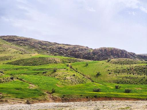 عکس صیدون