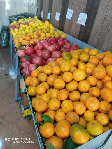 عکس میوه فروشی چهار فصل
