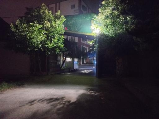 عکس شهرک نارون