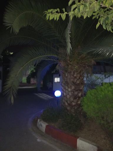 عکس شهرک نارون